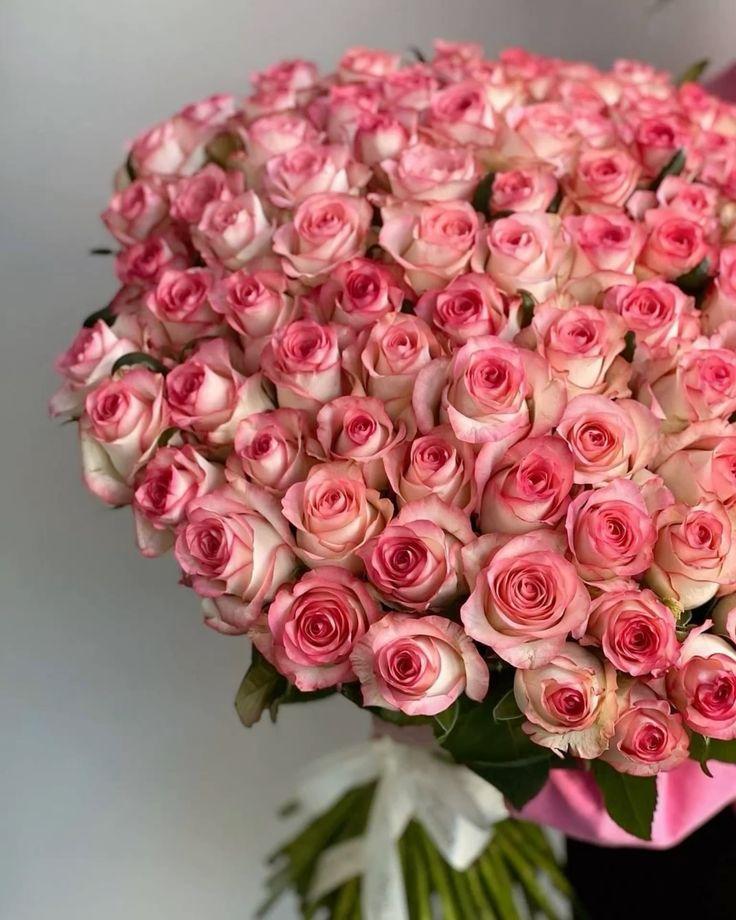Secret Garden Whimsical Floral Medley